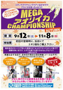 メガアオリイカ　チャンピオンシップ開催!!　9/12～11/8　　