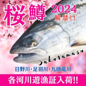 <center>2024サクラマス<br>各河川遊漁証入荷!!</center>