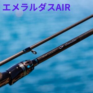 BEAT 10th Anniversary OGAI MODEL ROD | フィッシングポイント