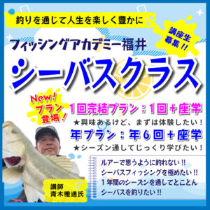 シーバスクラスに1回完結プランも登場!!