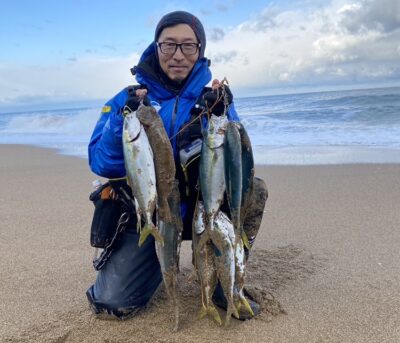 シーバス、ハマチ、ソゲ