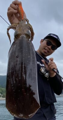 アオリイカ