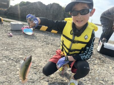 ベラ、キス、アイナメ