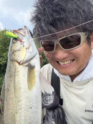 シーバス