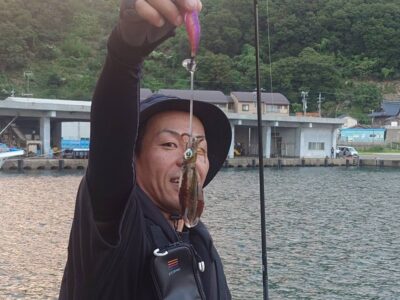 アオリイカ