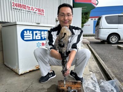 アオリイカ