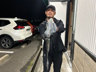 アオリイカ
