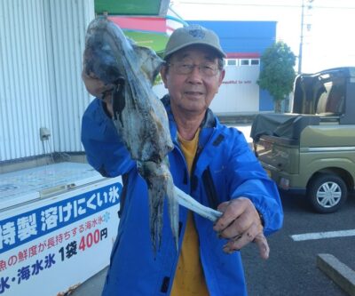 アオリイカ