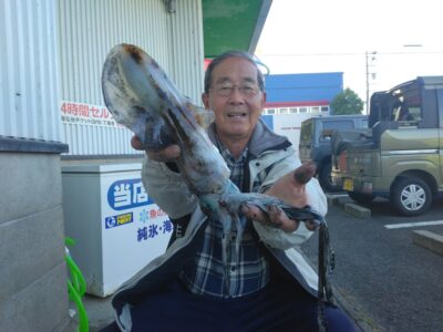 アオリイカ