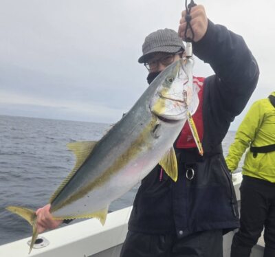 ヒラマサ・大ハマチ