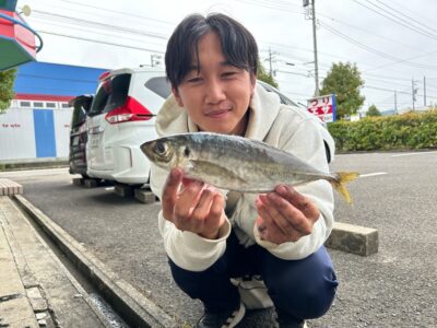 尺アジ・カマス・アオリイカ