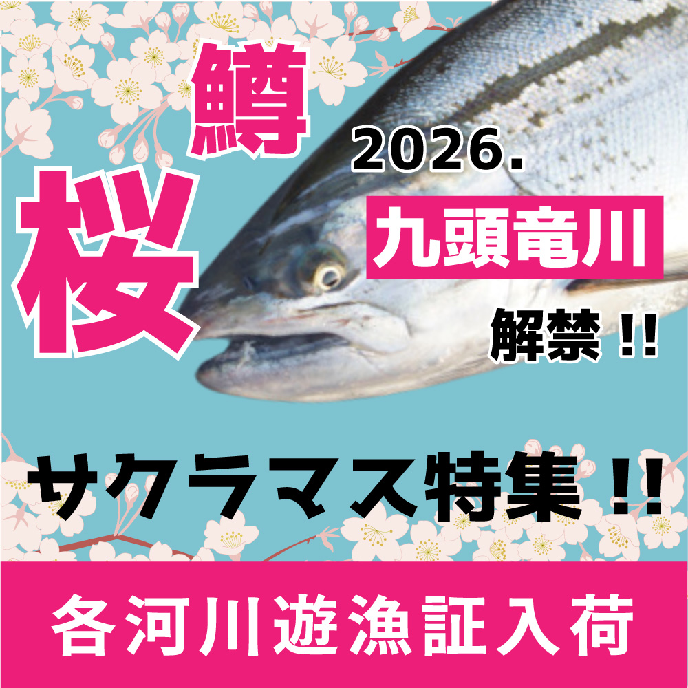 <center>サクラマス<br>各河川遊漁証入荷!!</center>