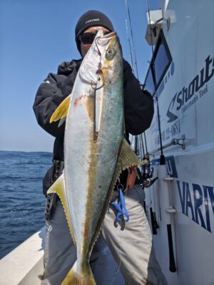 ヒラマサ・メジロ