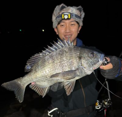 クロダイ・メバル・カサゴ