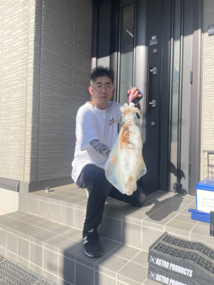 アオリイカ
