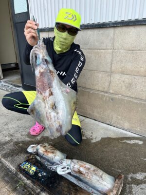 アオリイカ