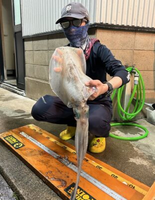アオリイカ