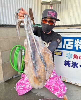 アオリイカ