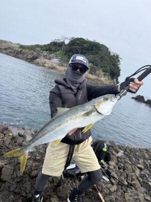 ヒラマサ