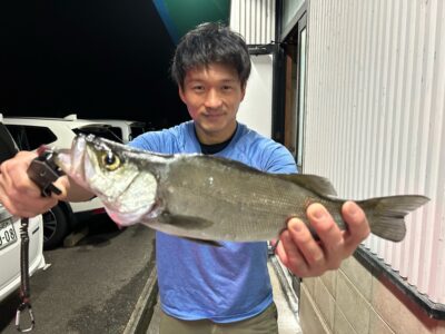 ヒラスズキ