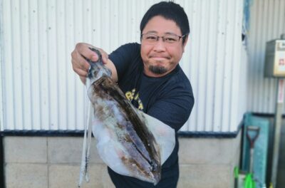 アオリイカ
