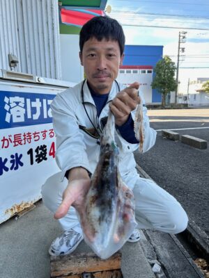 アオリイカ