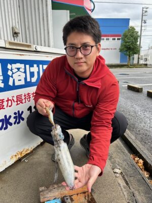 アオリイカ