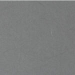 人気No.1